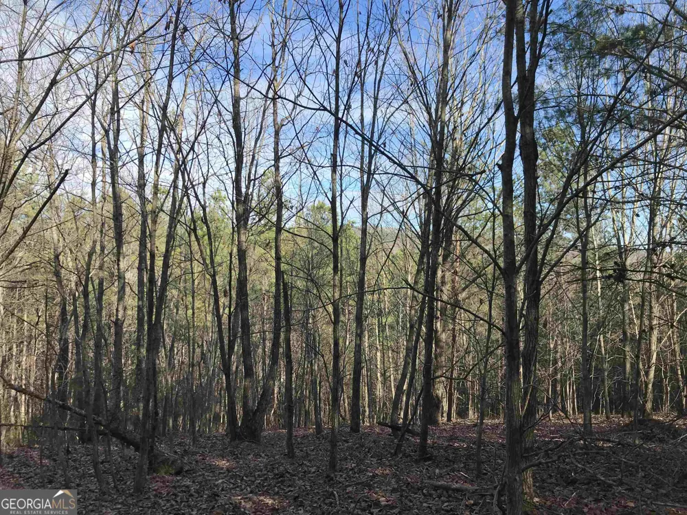 0 Liberty Church RD Ranger, GA 30734