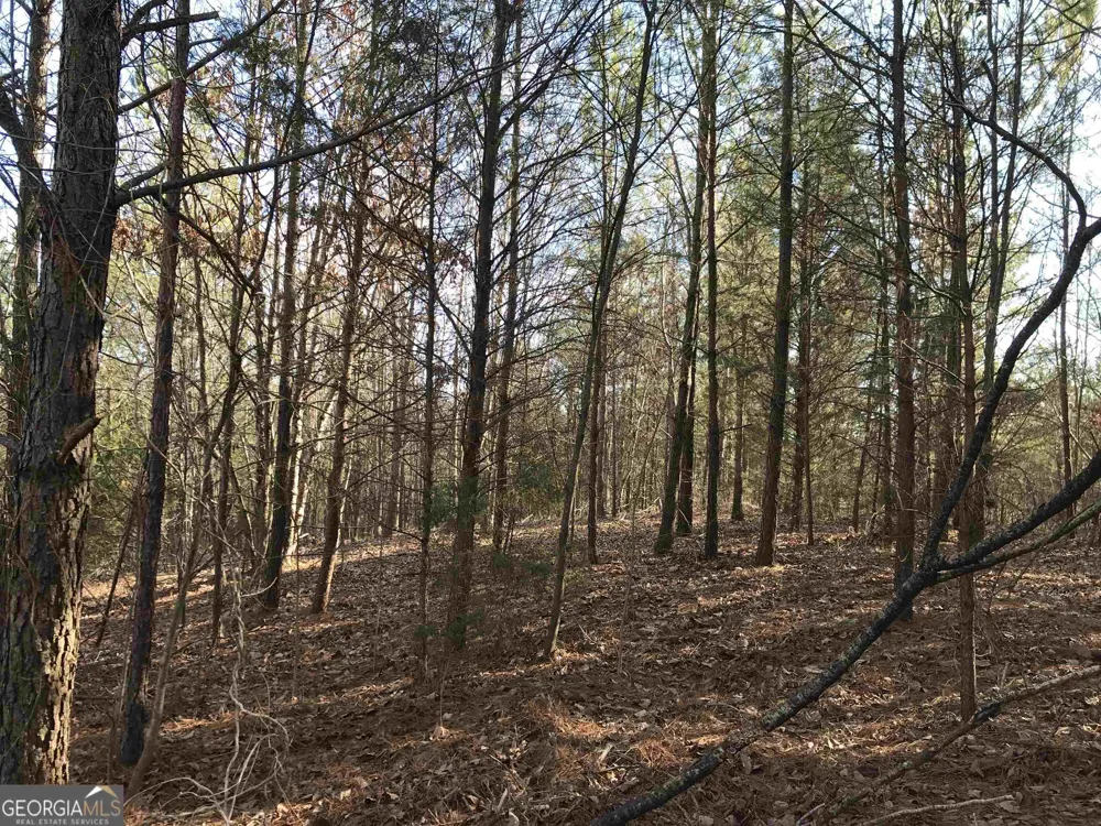 0 Liberty Church RD Ranger, GA 30734