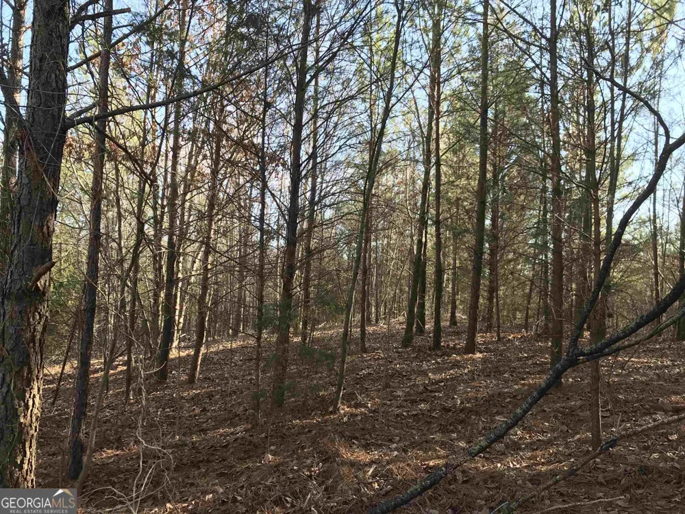 0 Liberty Church RD Ranger, GA 30734