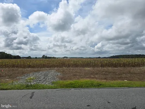 GRAY ROAD