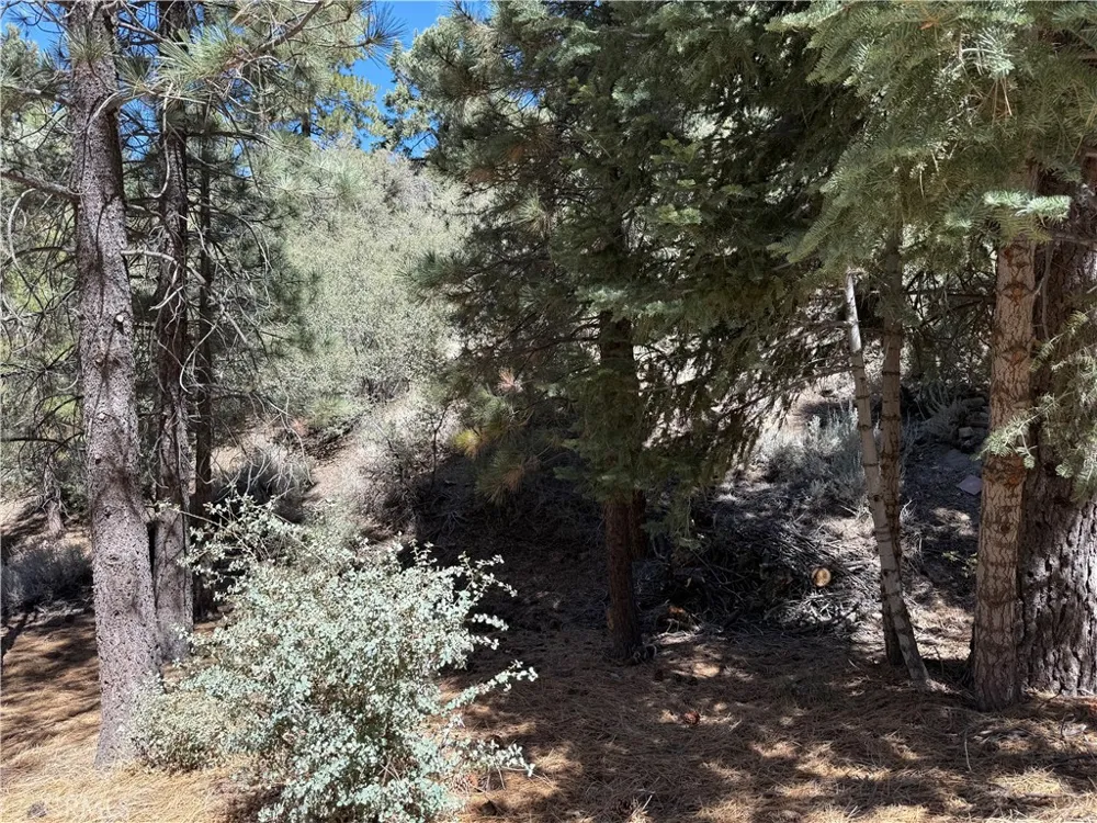 1420 Linden Drive Pine Mountain Club, CA 93222