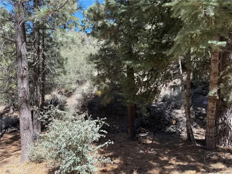 1420 Linden Drive