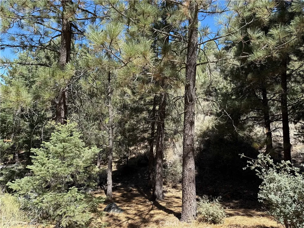 1420 Linden Drive Pine Mountain Club, CA 93222