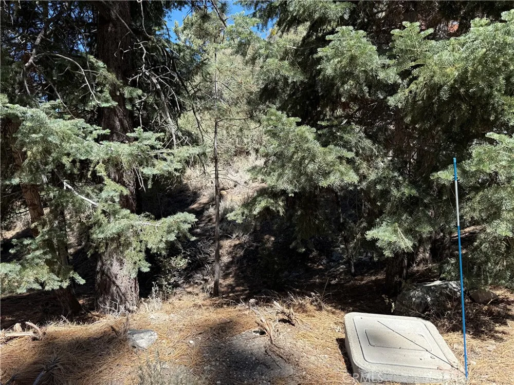 1420 Linden Drive Pine Mountain Club, CA 93222