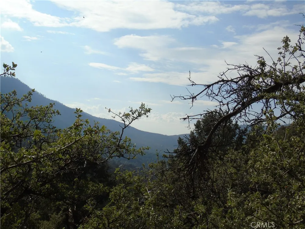 1420 Linden Drive Pine Mountain Club, CA 93222