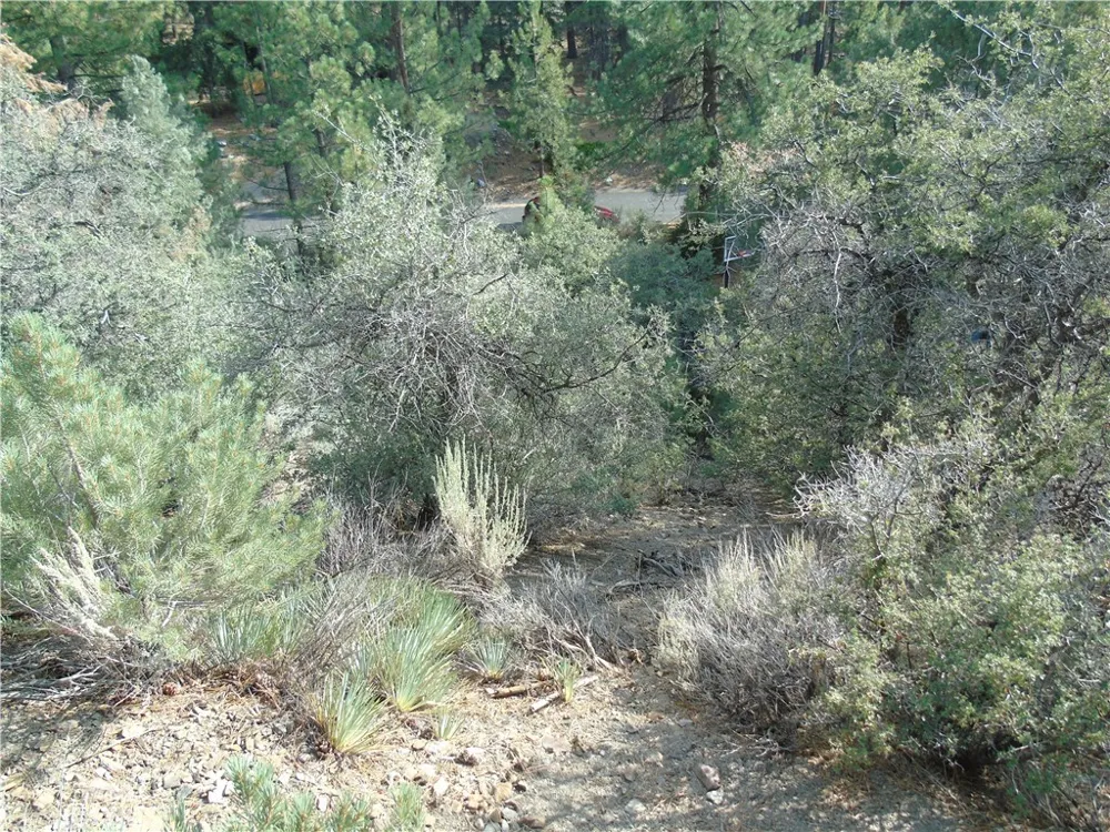 1420 Linden Drive Pine Mountain Club, CA 93222