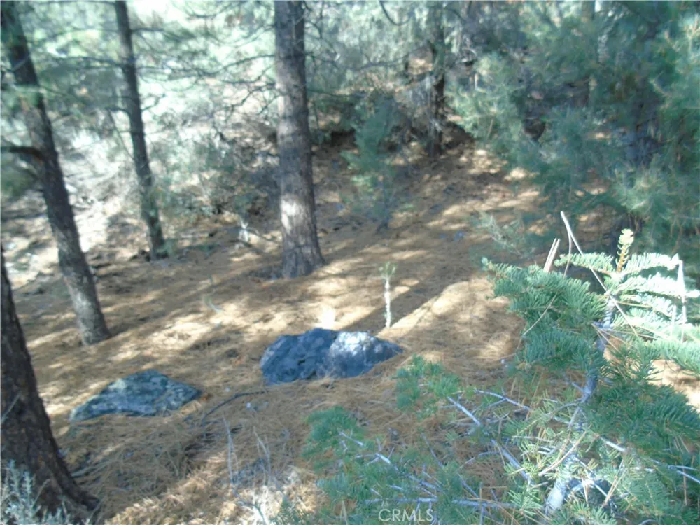 1420 Linden Drive Pine Mountain Club, CA 93222