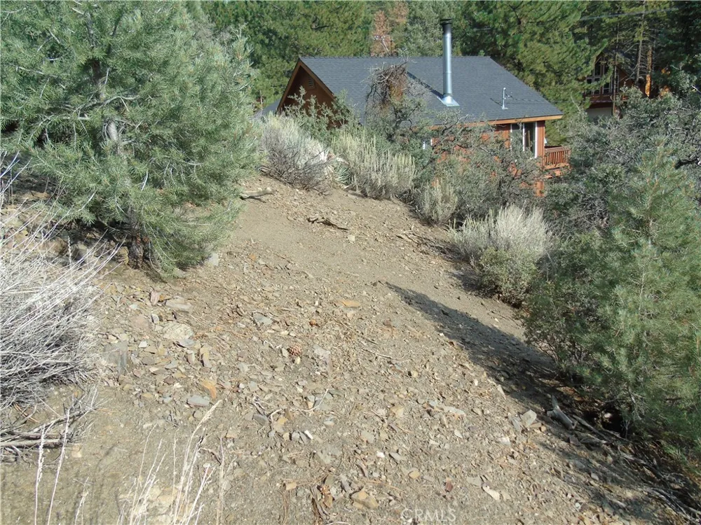 1420 Linden Drive Pine Mountain Club, CA 93222