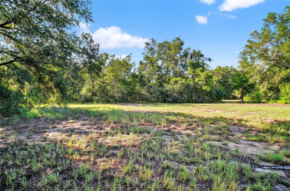 42012 STATE ROAD 19 Altoona, FL 32702