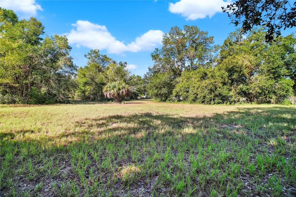 42012 STATE ROAD 19 Altoona, FL 32702