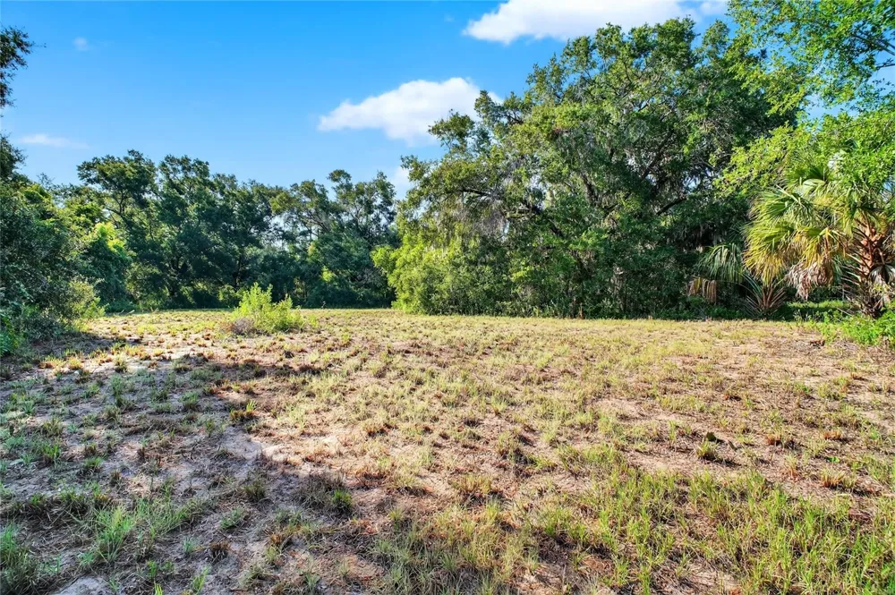 42012 STATE ROAD 19 Altoona, FL 32702