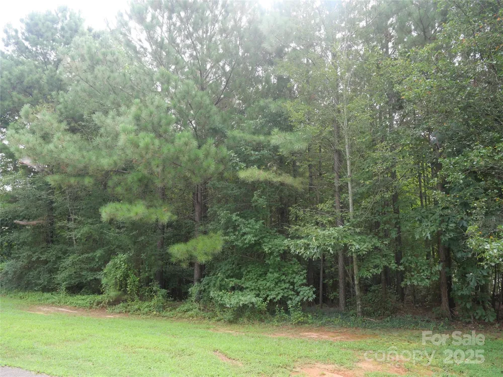 1832 Jaya Drive Sherrills Ford, NC 28673