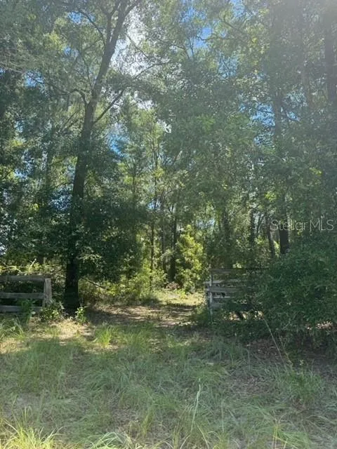 SW COLES COURT Fort White, FL 32038