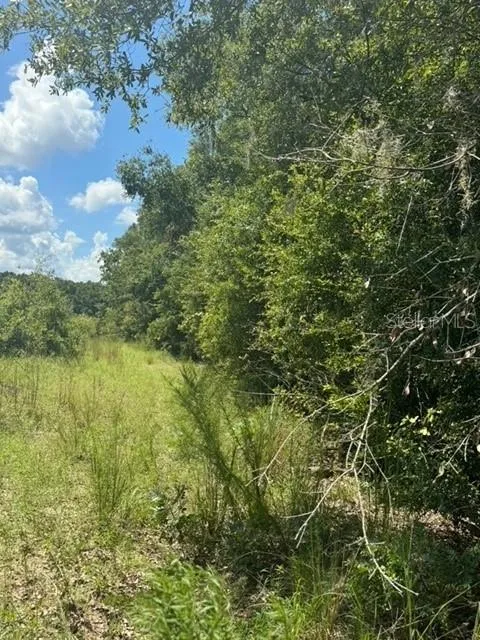 SW COLES COURT Fort White, FL 32038