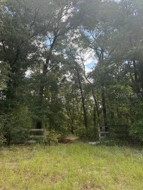 SW COLES COURT Fort White, FL 32038