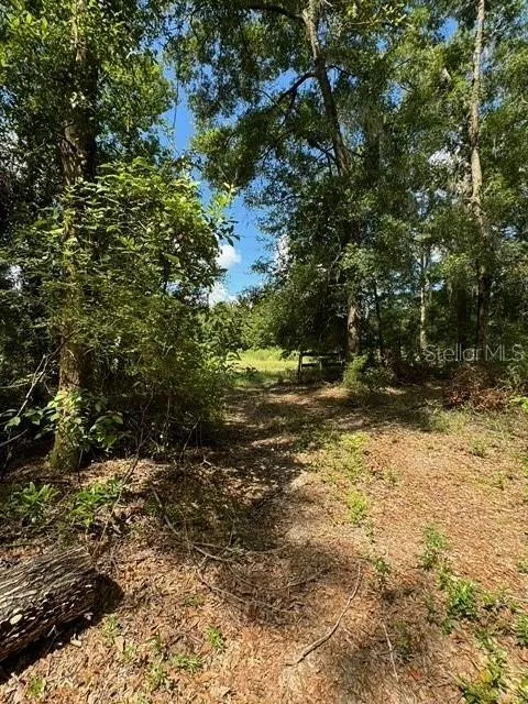 SW COLES COURT Fort White, FL 32038