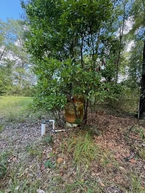 SW COLES COURT Fort White, FL 32038
