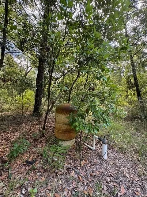 SW COLES COURT Fort White, FL 32038