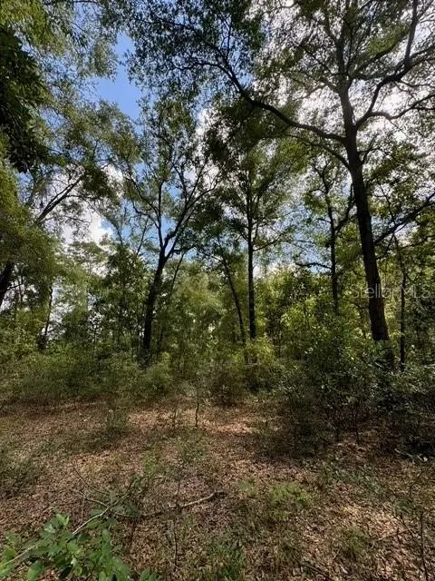 SW COLES COURT Fort White, FL 32038