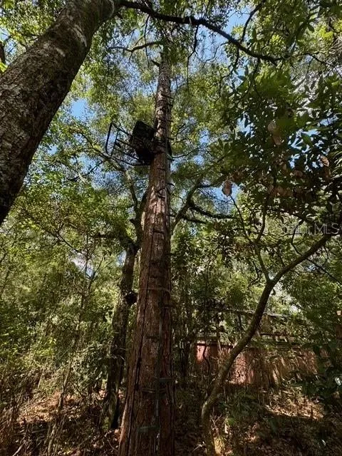 SW COLES COURT Fort White, FL 32038
