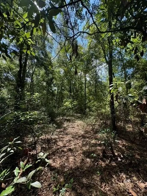 SW COLES COURT Fort White, FL 32038