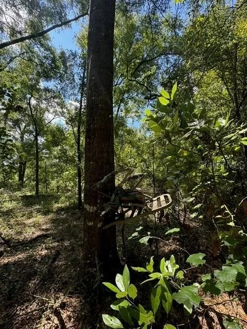 SW COLES COURT Fort White, FL 32038