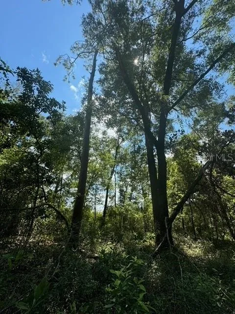 SW COLES COURT Fort White, FL 32038