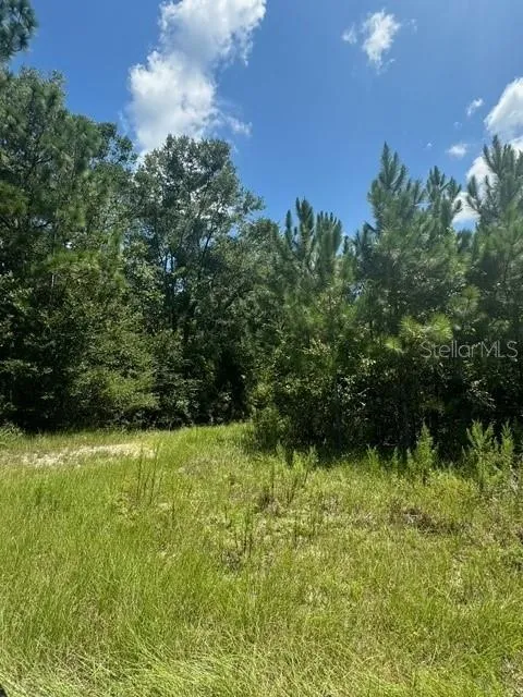 SW COLES COURT Fort White, FL 32038