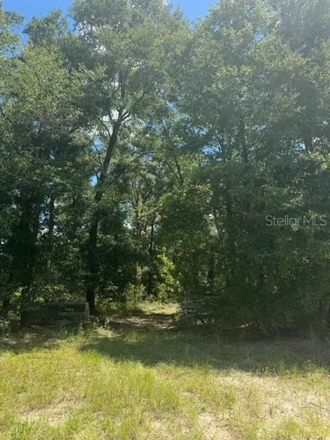 SW COLES COURT Fort White, FL 32038