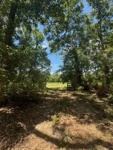 SW COLES COURT Fort White, FL 32038