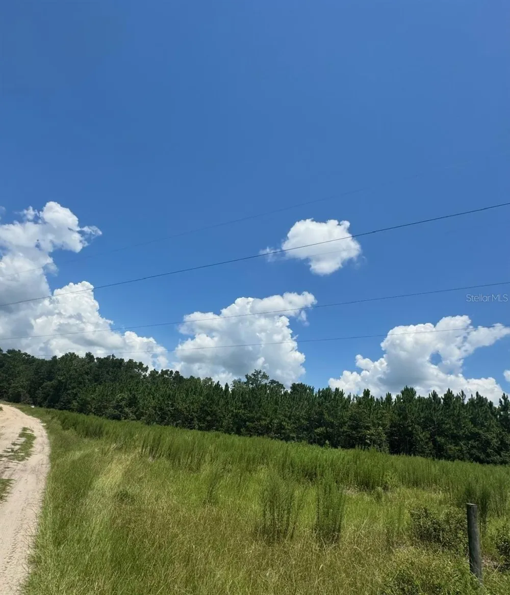 SW COLES COURT Fort White, FL 32038