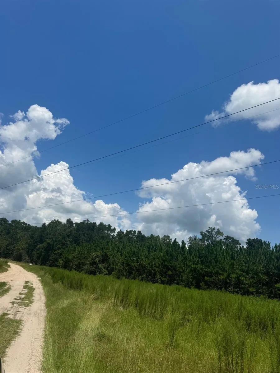 SW COLES COURT Fort White, FL 32038