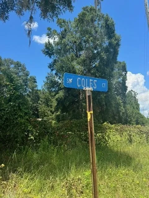 SW COLES COURT Fort White, FL 32038