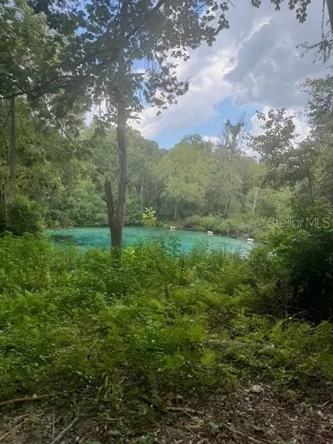 SW COLES COURT Fort White, FL 32038