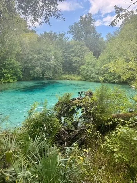 SW COLES COURT Fort White, FL 32038