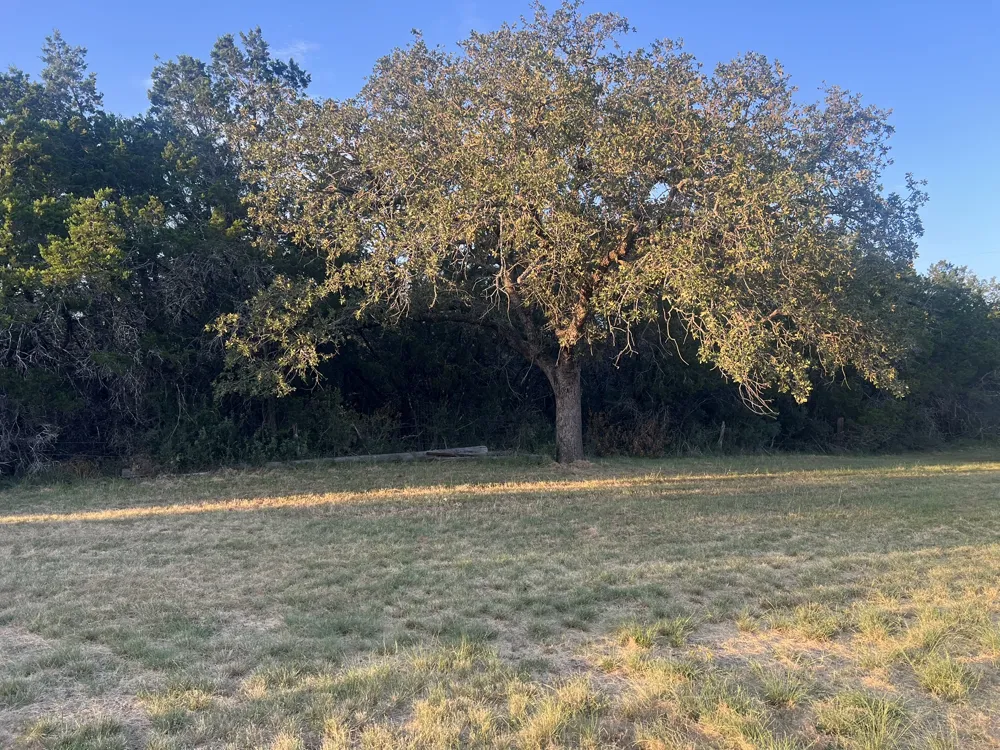 E Fm 1431 Marble Falls, TX 78654