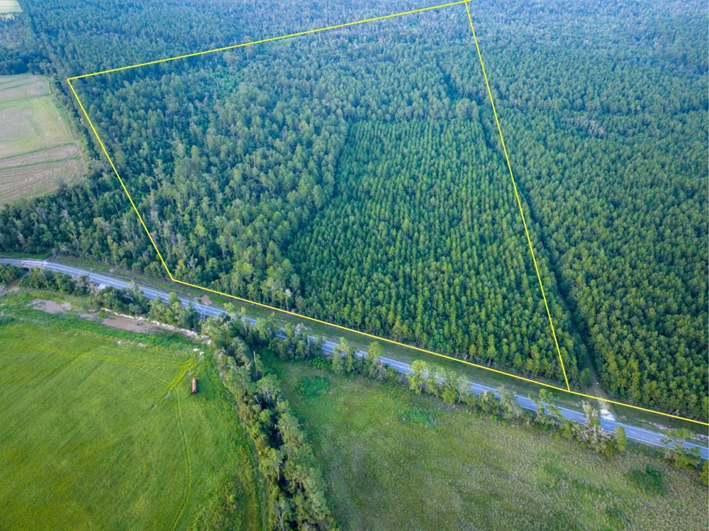Starks Big Woods Rd. Lake Charles, LA 70661