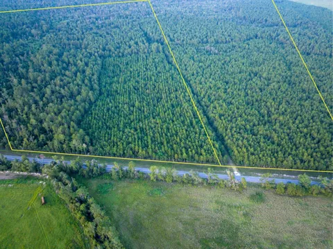 Starks Big Woods Rd.