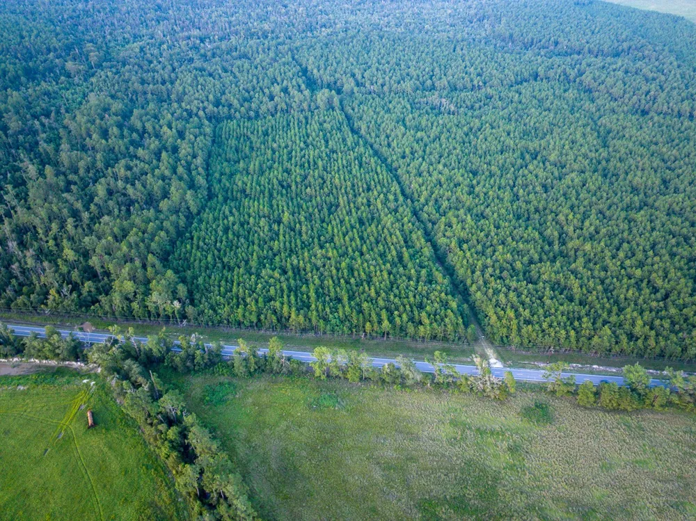 Starks Big Woods Rd. Lake Charles, LA 70661