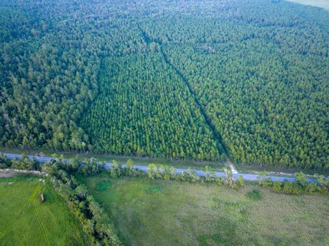 Starks Big Woods Rd.