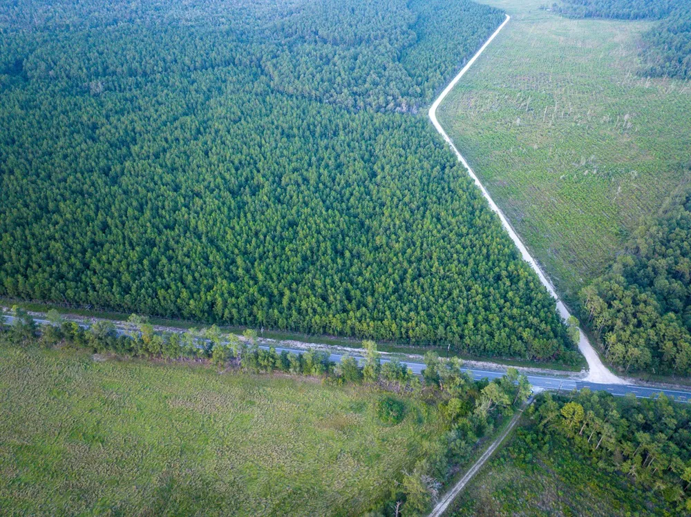 Starks Big Woods Rd. Lake Charles, LA 70661