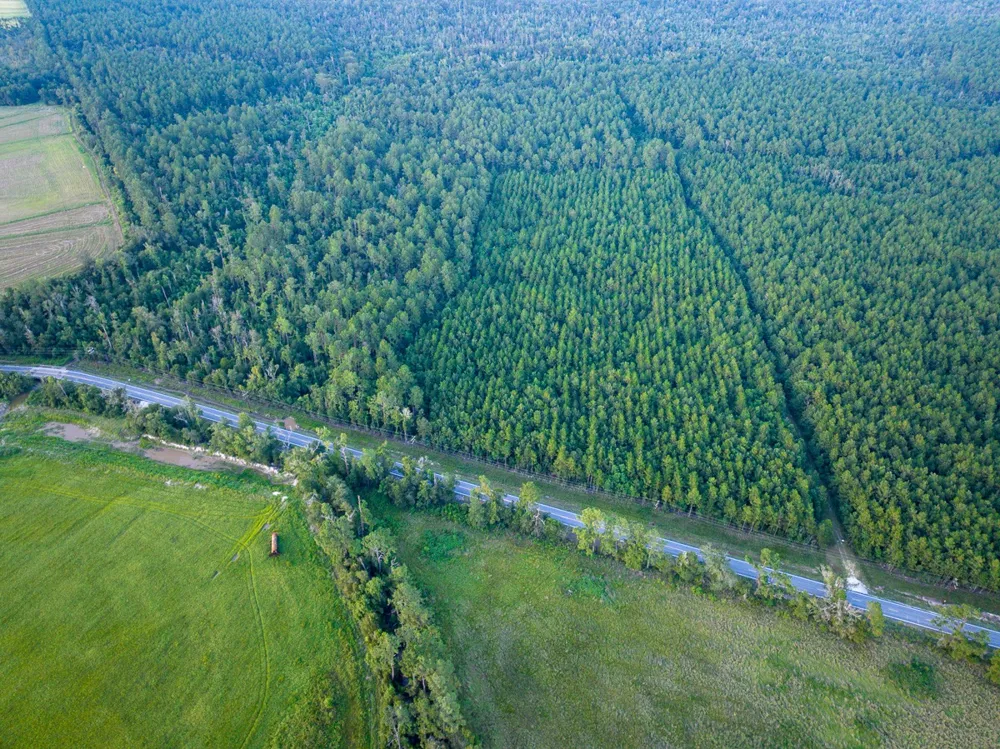 Starks Big Woods Rd. Lake Charles, LA 70661