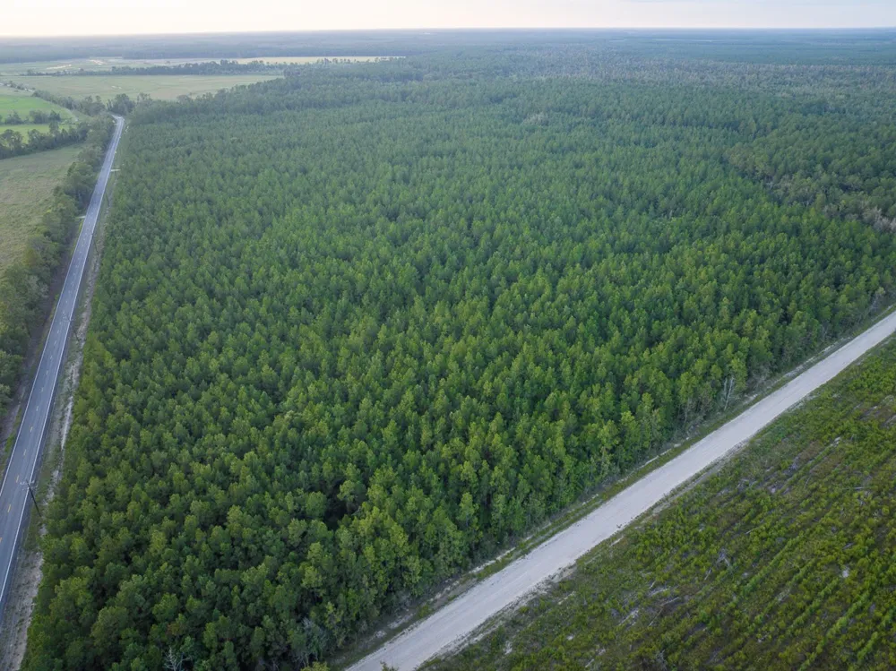 Starks Big Woods Rd. Lake Charles, LA 70661