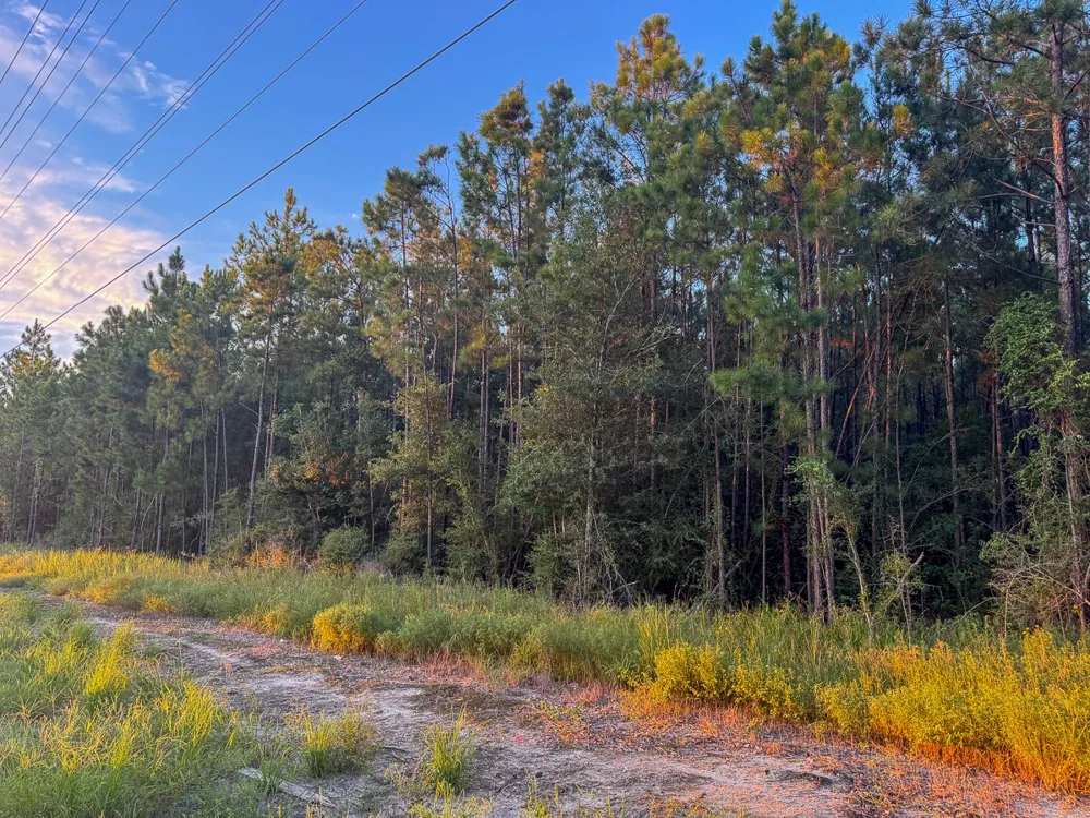Starks Big Woods Rd. Lake Charles, LA 70661