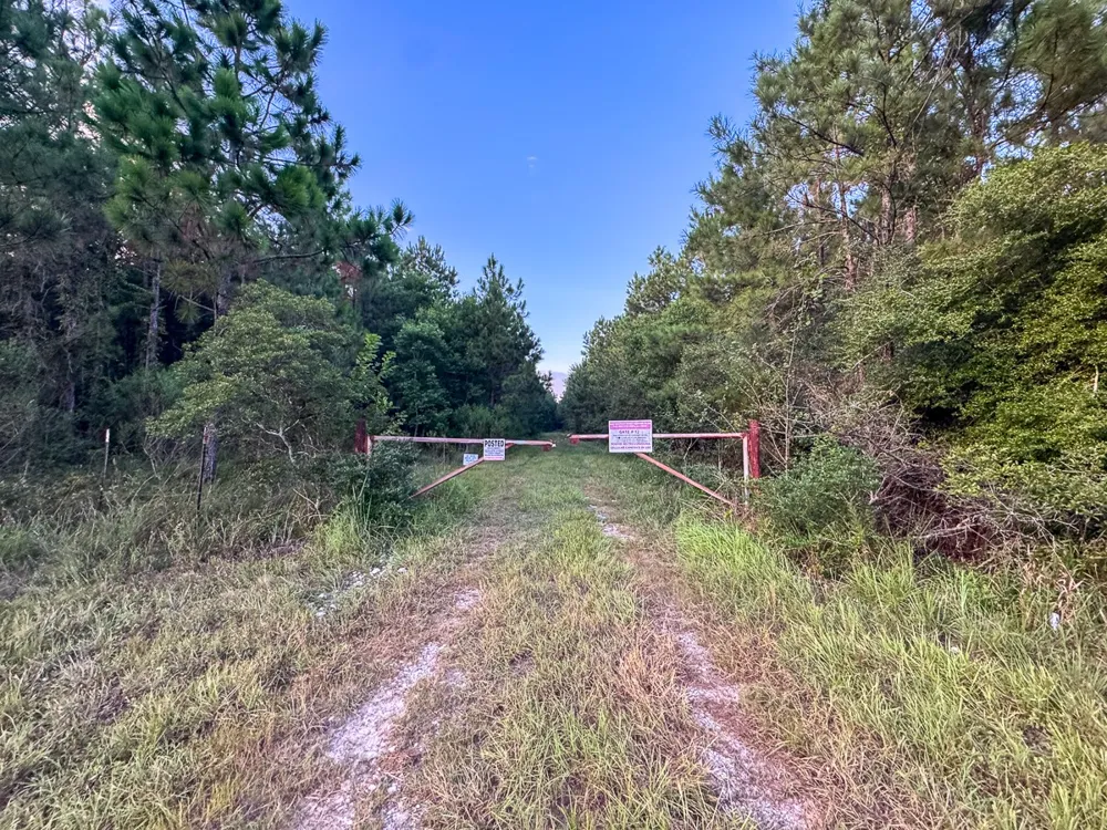 Starks Big Woods Rd. Lake Charles, LA 70661