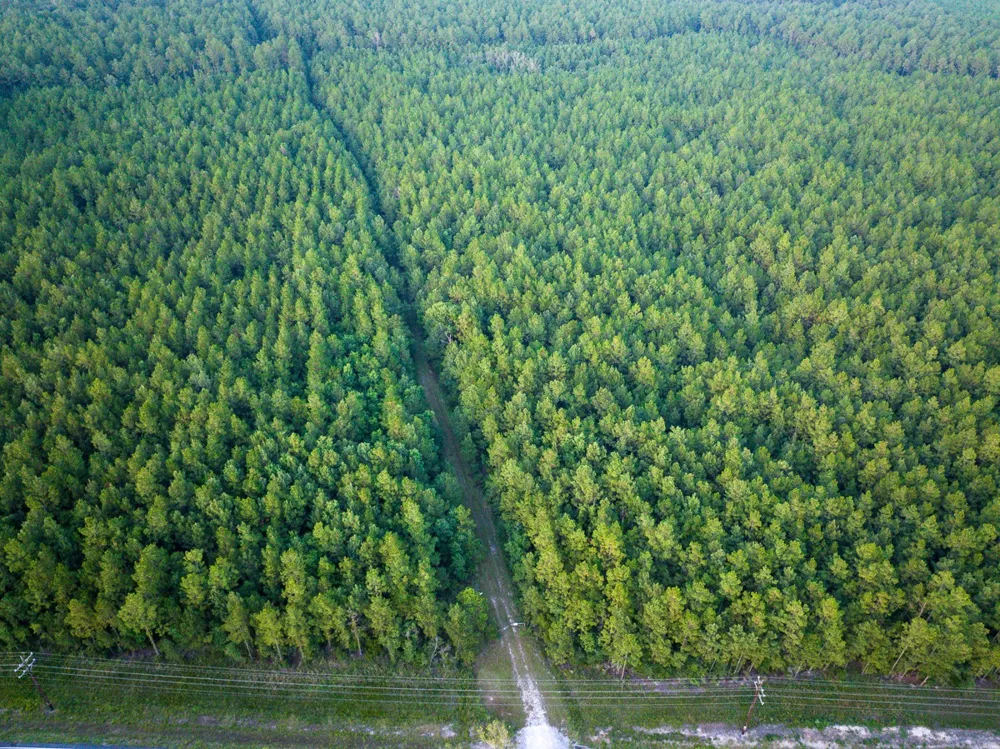 Starks Big Woods Rd. Lake Charles, LA 70661