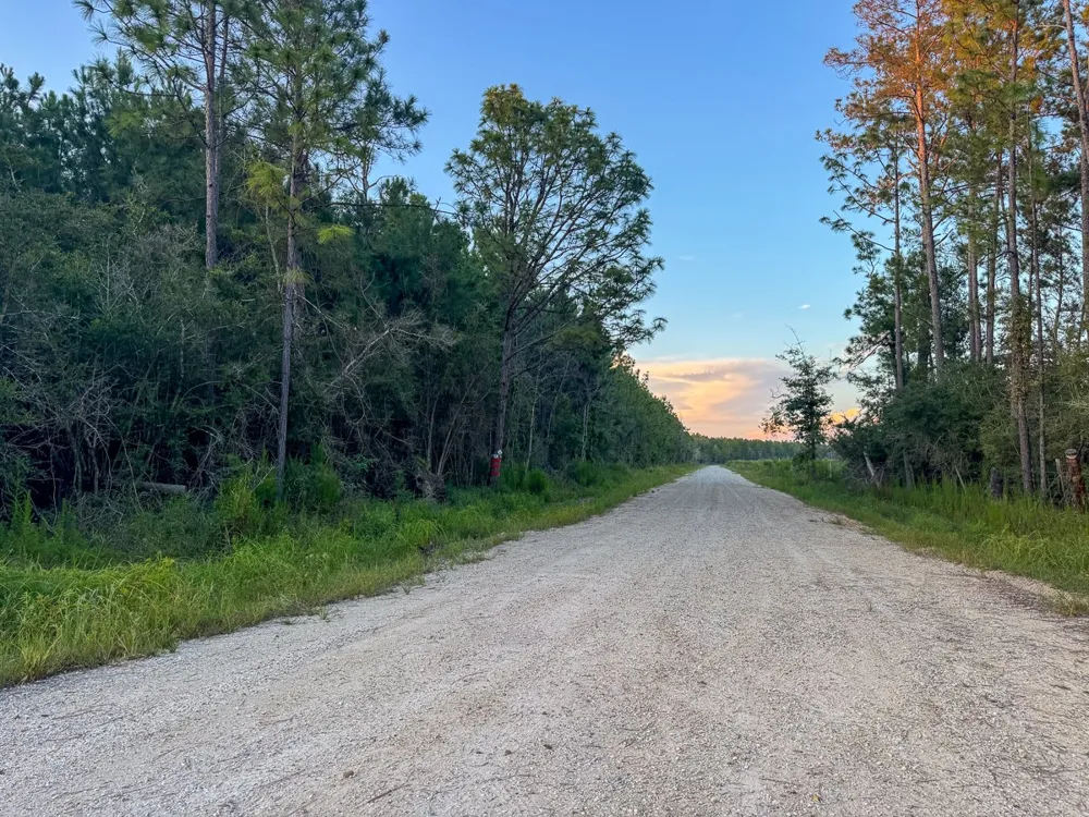 Starks Big Woods Rd. Lake Charles, LA 70661