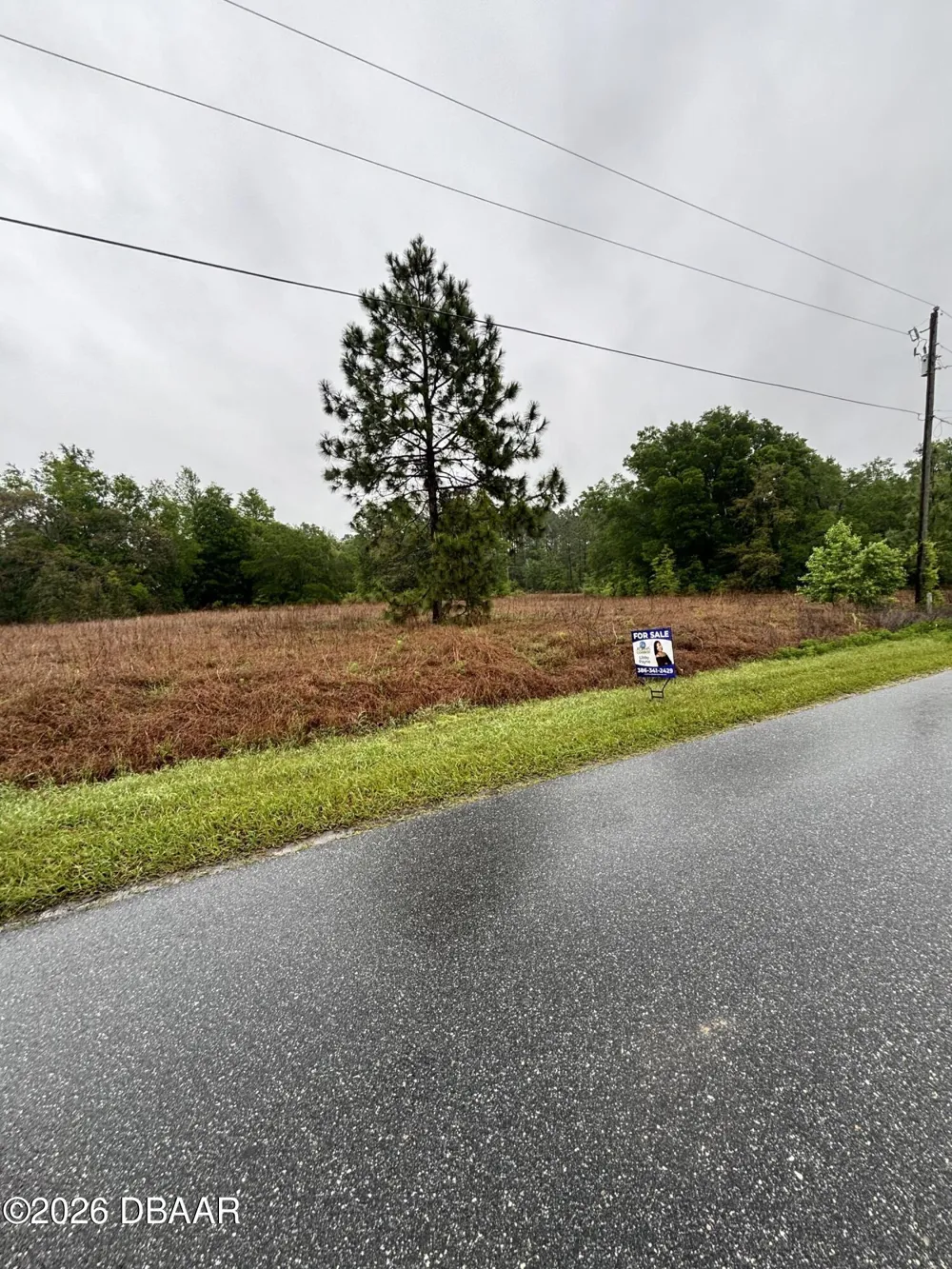 Beach Boulevard Dunnellon, FL 34431