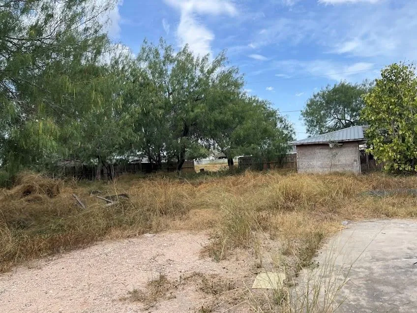 1118 Esparanza Street Alamo, TX 78516