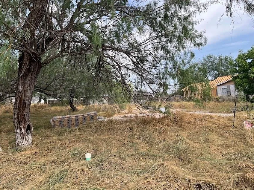 1118 Esparanza Street Alamo, TX 78516